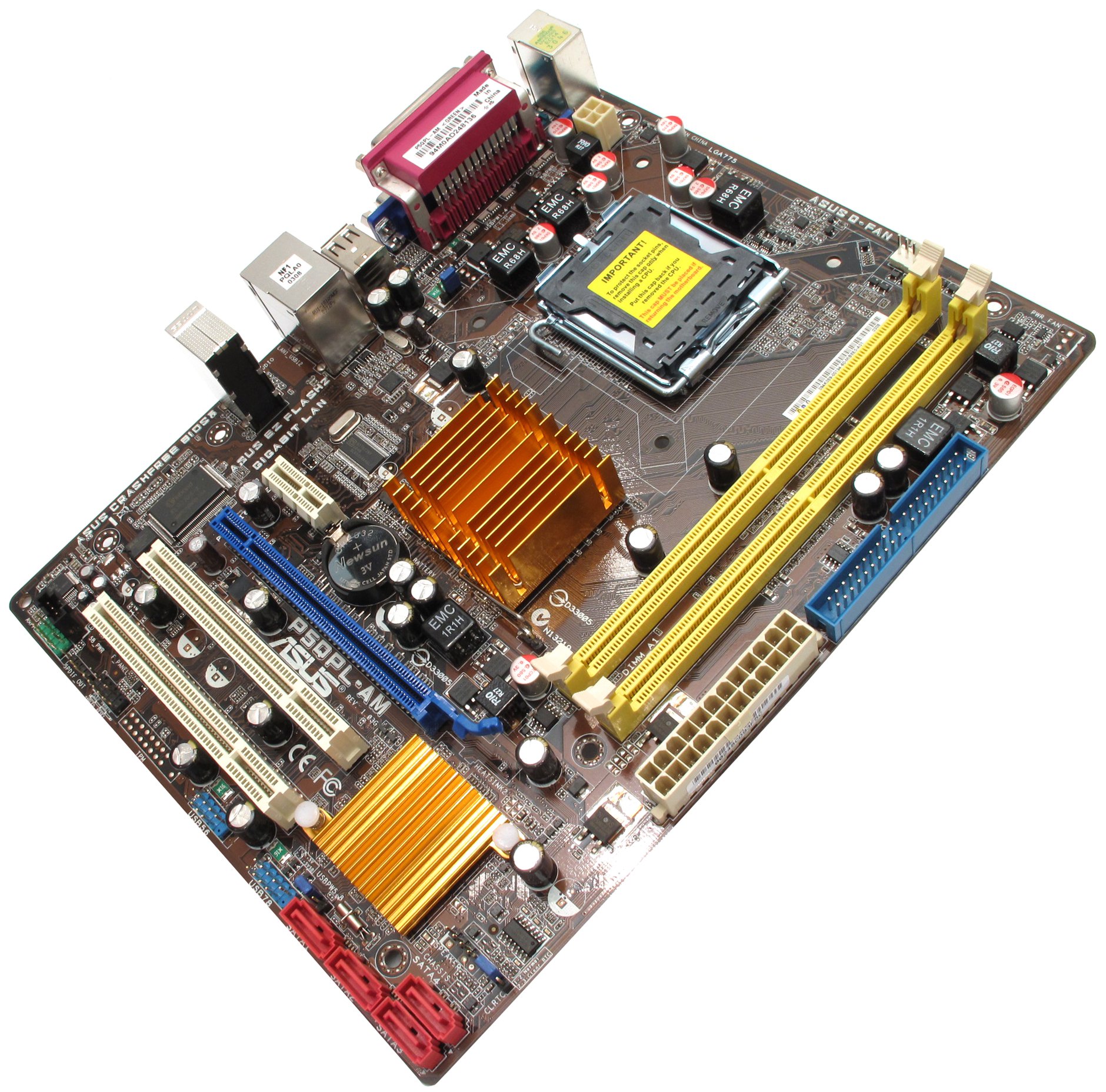 ASUS P5QPL-AM — купить, цена и характеристики, отзывы