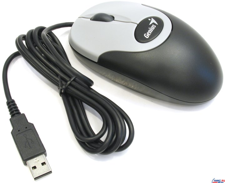 Genius Netscroll Optical Mouse Driver Download