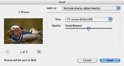 Screen_E-mail