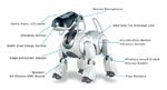 AIBO small