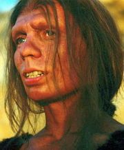  Homo Neanderthalensis