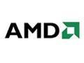 AMD:    45 