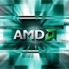  AMD -  100%  ,    AMD