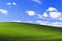 Windows XP      