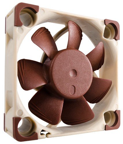   Noctua    -