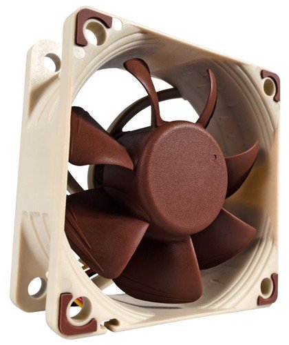   Noctua    -