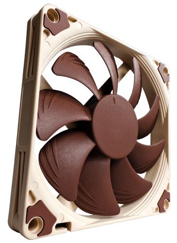   Noctua    -