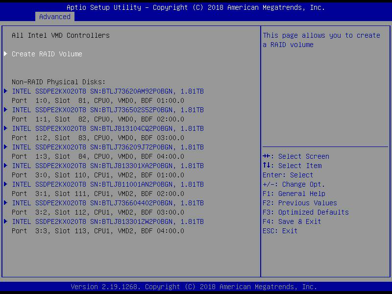 Vmd controller отключить. Intel Raid 1 Volume. Intel VMD Controller. VMD Controller в биосе что это. Intel vroc.