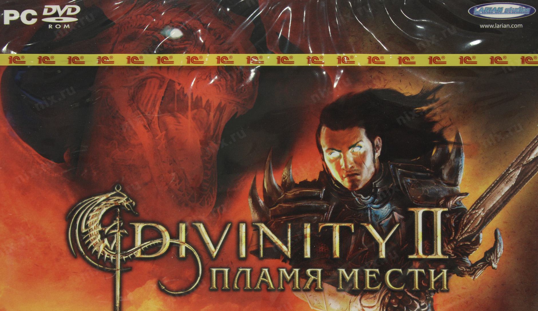 Divinity 2 пламя мести нет изображения