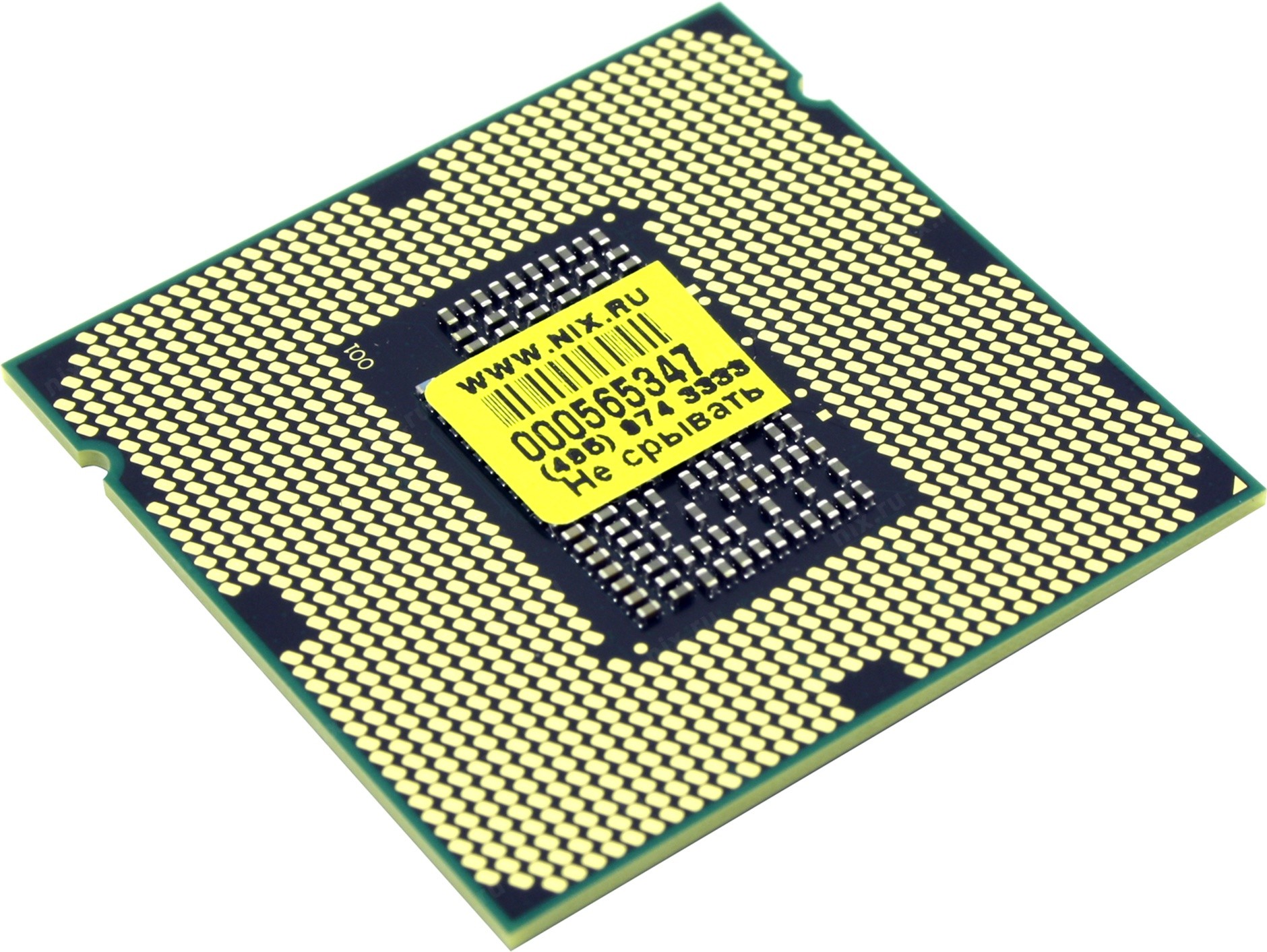 Xeon e3 sandy bridge. Процессор Intel Xeon e3-1220 Sandy Bridge. Процессор Intel Core i3-2125 Sandy Bridge. Процессор Intel Xeon e3-1230 Sandy Bridge. Процессор Intel Xeon e5-1603 Sandy Bridge-e
