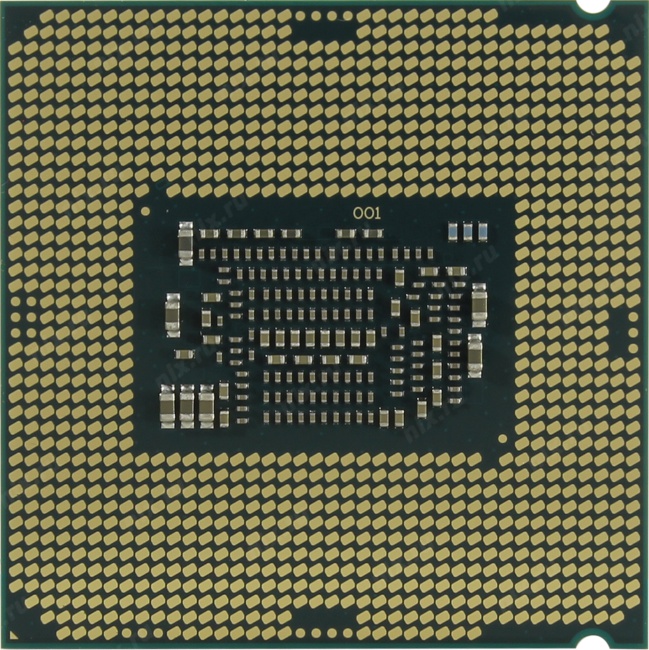 Intel celeron g4900 какой сокет