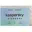    Kaspersky Standard KL1041ROCFS  3  1 ,  