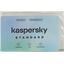    Kaspersky Standard KL1041ROCFS  3  1 ,  