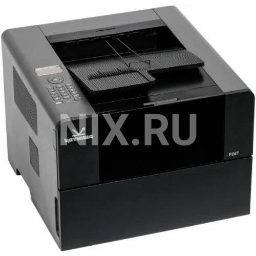 Принтер IT P247ep-pp "Катюша" P247