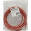 Patch Cord UTP (   ) -,  