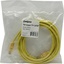 Patch Cord UTP (   ) -,  