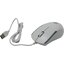 Проводная Мышь OKLICK Optical Mouse 245M White USB 2.0, вид основной
