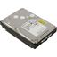 Жесткий диск Toshiba MG08-D Series 4 Тб MG08SDA400E SAS, вид основной