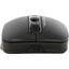   A4Tech FB10C Stone Black (USB 2.0, 4btn, 2400 dpi),  