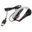 Проводная Мышь A4Tech Glaser X6-70D (USB 1.1, 7btn, 1000 dpi), вид основной