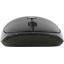   Acer Optical Mouse OMR137 (USB, 4btn, 1600 dpi),  