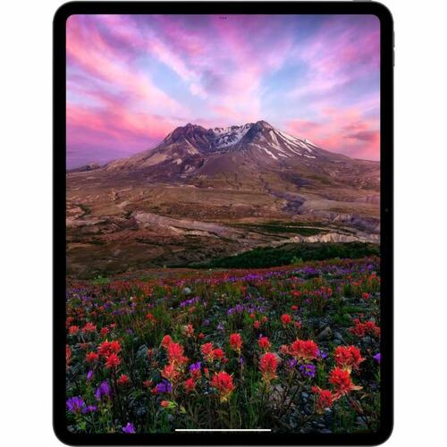 Apple iPad Pro 13" Wi-Fi 256 Гб Черный