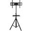 Arm Media TR-STAND-2, вид спереди