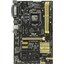   Socket LGA1150 ASUS H81-PLUS 2LV DDR3/DDR3 ATX,  