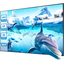 вид дополнительный