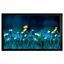 Экран Cactus 113x200см FrameExpert CS-PSFRE-200X113 16:9 , вид основной