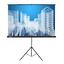 Экран для проектора Cactus Triscreen CS-PST-104X186, вид основной