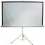   , /  100" (254 ) Cactus Triscreen CS-PST-180x180 1:1 Matte White,  