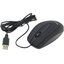   CANYON CNE-CMS1 (USB 2.0, 3btn, 800 dpi),  