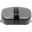   CANYON Wireless Optical Mouse CNE-CMSW1G (USB 2.0, 4btn, 1200 dpi),  