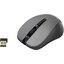   CANYON CNE-CMSW1G (USB 2.0, 4btn, 1200 dpi),  