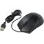   CBR Optical Mouse CM100 Black (USB 2.0, 3btn, 800 dpi),  