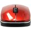 Беспроводная Мышь Defender Kiddo 105 (USB 1.1, 3btn, 1000 dpi), вид спереди