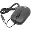 Проводная Мышь Defender Datum MM-010 (USB 2.0, 3btn, 1000 dpi), вид основной