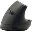 Беспроводная Мышь DELUX Optical Mouse M618DB (USB, 6btn, 4000 dpi), вид спереди