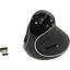   DELUX Optical Mouse M618Plus wireless (USB, 5btn, 1600 dpi),  