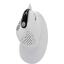   DELUX Optical Mouse M618XSD White (USB, 8btn, 4000 dpi),  