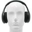Наушники с микрофоном Dialog Homeline HP-H10RF Black, вид спереди