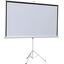   , /  98" (250 ) Digis Kontur-D DSKD-4303 4:3 Matte White,  