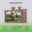 вид дополнительный
