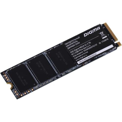 SSD Digma <DGSM3002TG13T>