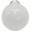 Лампа светодиодная Ergolux LED-A60-10W-E27-3K, вид спереди