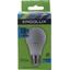 Лампа светодиодная Ergolux LED-A60-10W-E27-4K, вид упаковки