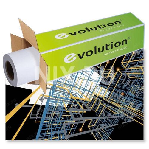 Evolution 4110010