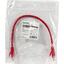 Патч-корд UTP ExeGate UTP-RJ45-RJ45-5e-0.3M-RD 0.3 метра кат. 5e Красный, вид упаковки