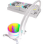 вид дополнительный